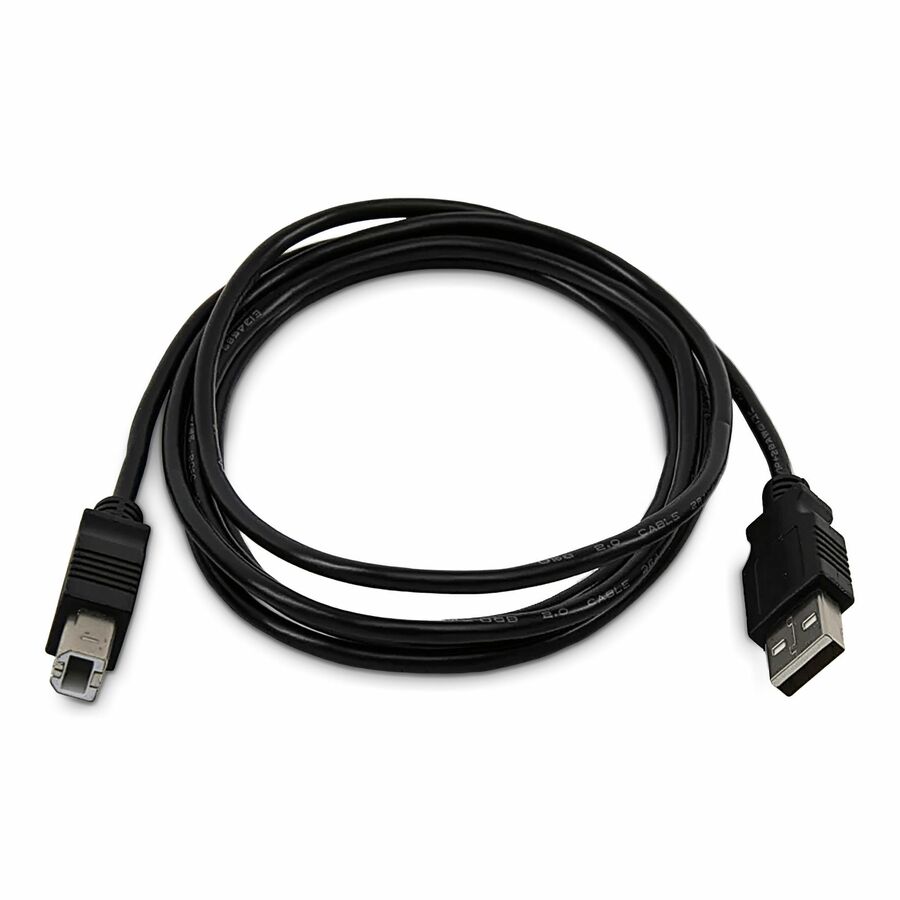 StarTech 10ft (3m) USB-A to B Cable, Universal USB 2.0 Cable, 480Mbps, M/M, TAA Compliant