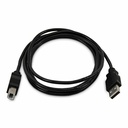 StarTech 10ft (3m) USB-A to B Cable, Universal USB 2.0 Cable, 480Mbps, M/M, TAA Compliant
