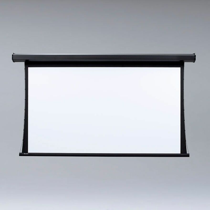 Draper Premier 10' Projection Screen