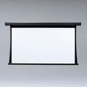 Draper Premier 10' Projection Screen