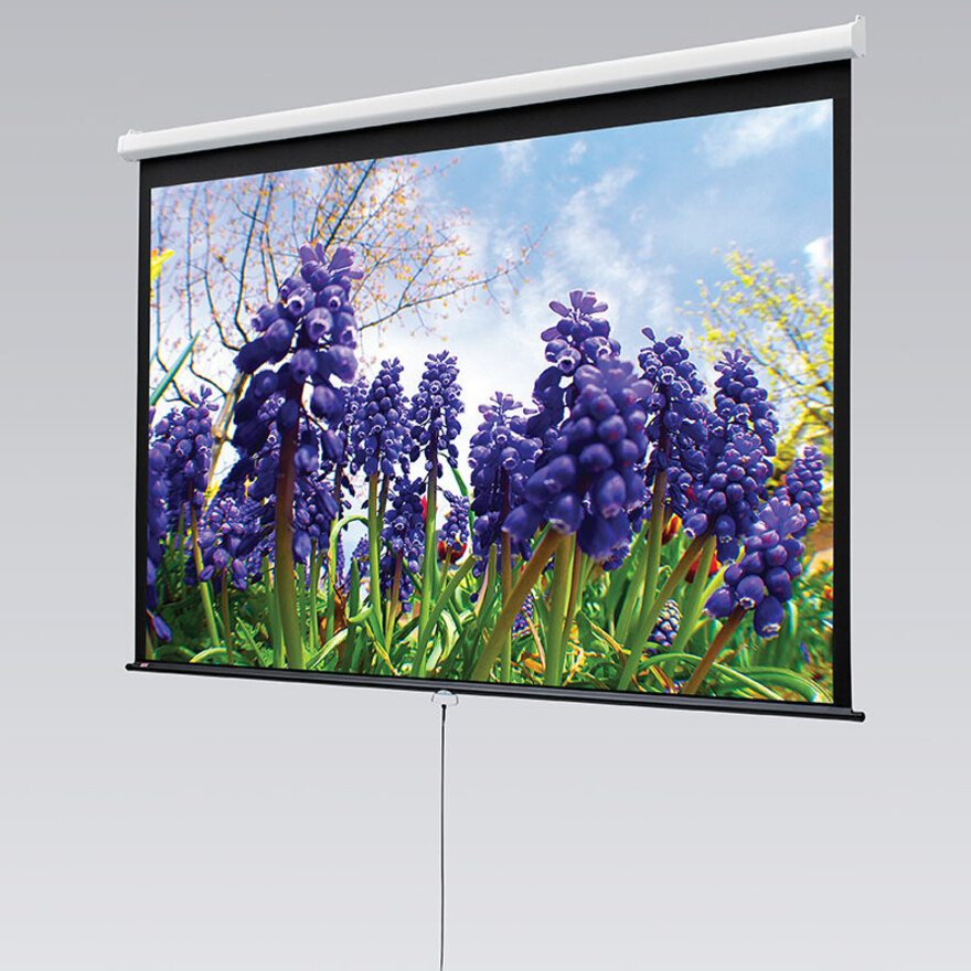 Draper Luma Manual Wall and Ceiling Projection Screen