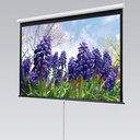 Draper Luma Manual Wall and Ceiling Projection Screen