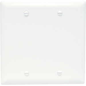Pass & Seymour Blank Plates Box Mounted, Two Gang, White TP23W