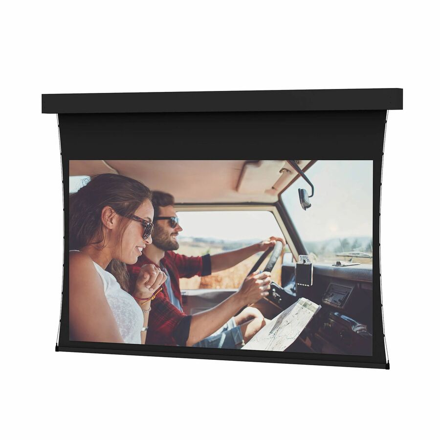 Da-Lite Tensioned Professional Electrol 255" Electric Projection Screen
