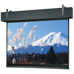 Da-Lite Professional Electrol 38697 295" Electric Projection Screen