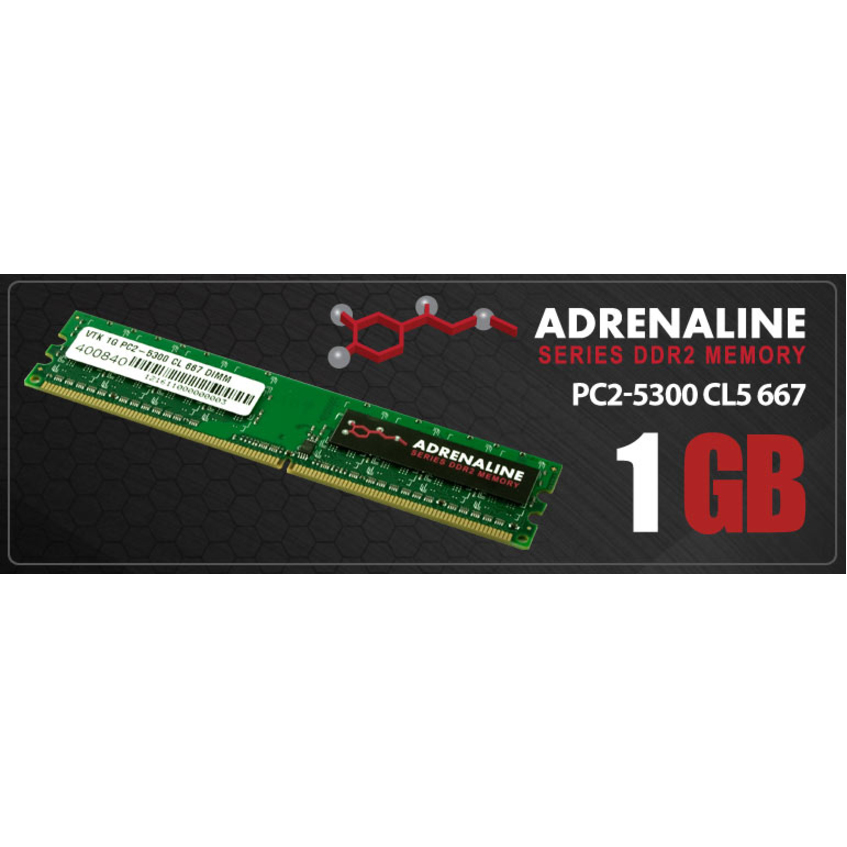 VisionTek 1GB DDR2 667 MHz (PC2-5300) CL5 DIMM - Desktop