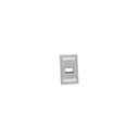 PanNet Mini-Com CFPSL2S Faceplate