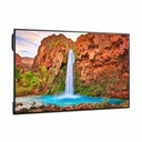 Sharp NEC Display 55" Ultra High Definition Commercial Display