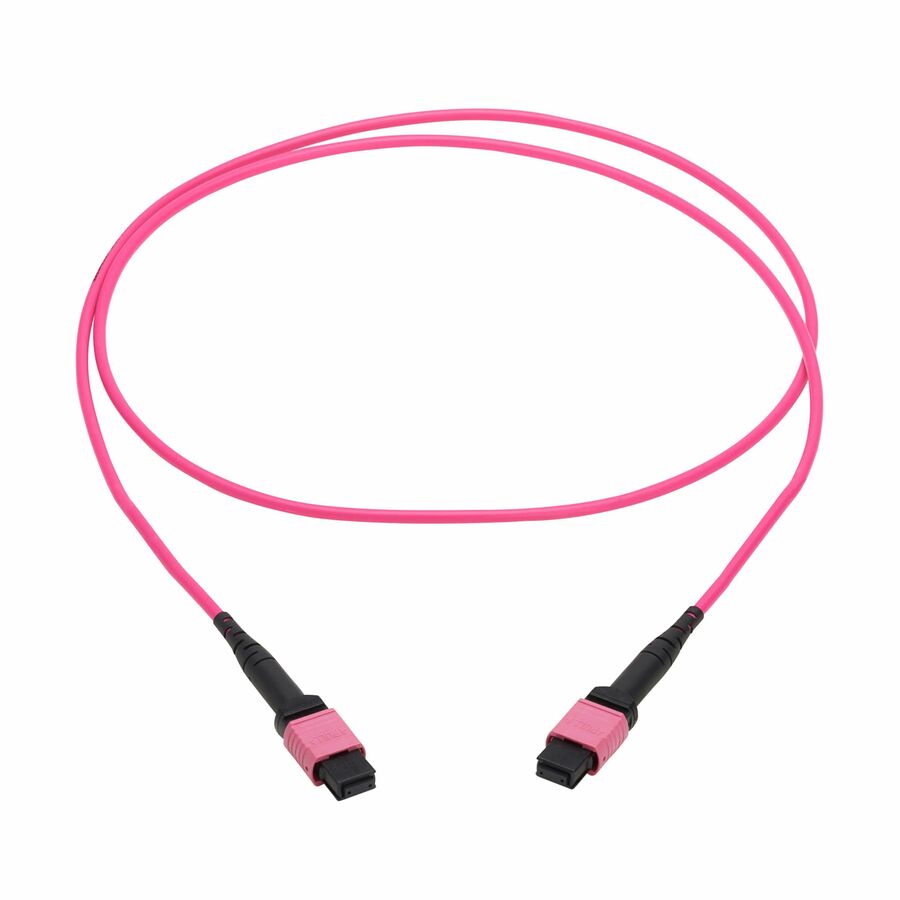 Eaton Tripp Lite Series 100G Multimode 50/125 OM4 Fiber Optic Cable (12F MTP/MPO-PC F/F), OFNP, Magenta, 2 m (6.6 ft.), TAA