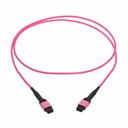 Eaton Tripp Lite Series 100G Multimode 50/125 OM4 Fiber Optic Cable (12F MTP/MPO-PC F/F), OFNP, Magenta, 2 m (6.6 ft.), TAA