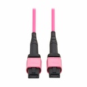 Eaton Tripp Lite Series 100G Multimode 50/125 OM4 Fiber Optic Cable (12F MTP/MPO-PC F/F), OFNP, Magenta, 1 m (3.3 ft.), TAA