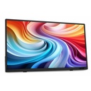 Acer PM161QT 16" Class LCD Monitor - 16:9 - Black