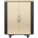 APC by Schneider Electric NetShelter CX Rack Cabinet