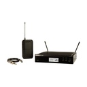 Shure Wireless Rack-mount Guitar System
