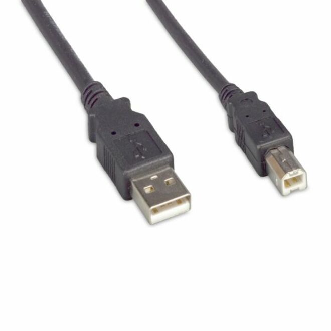 ENET USB 2.0 A Male to B Male 1FT Black Cable