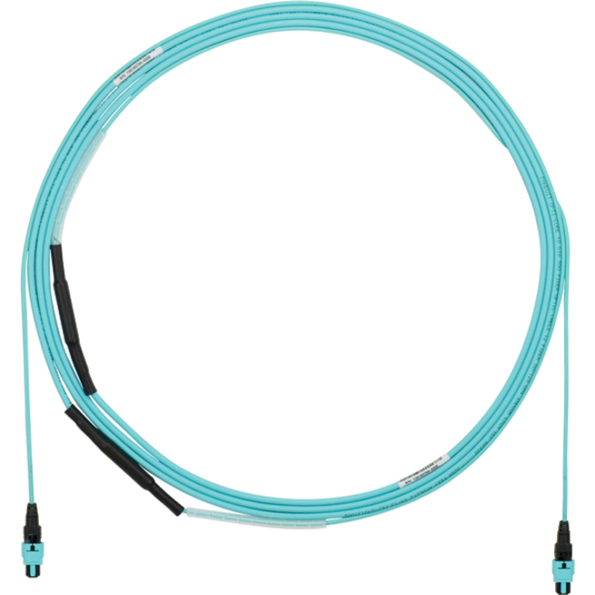 Panduit OM4 12F OFNP PanMPO-F Type B Opt IL Pull Eye
