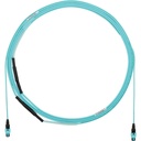 Panduit OM4 12F OFNP PanMPO-F Type B Opt IL Pull Eye