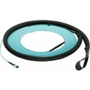 Panduit Fiber Optic Trunk Network Cable