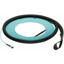 PanNet QuickNet Fiber Optic Trunk Network Cable
