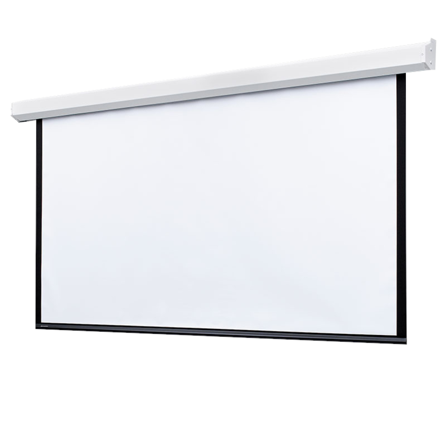 Draper Targa 123" Projection Screen