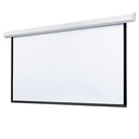 Draper Targa 123" Projection Screen