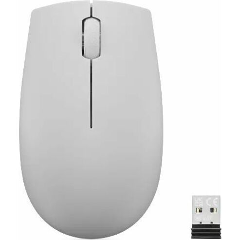 Lenovo 300 Wireless Compact Mouse (Arctic Grey) With Battery