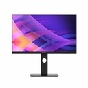 Mobile Pixels 116-1003P01 24" Class Full HD LCD Monitor - Black