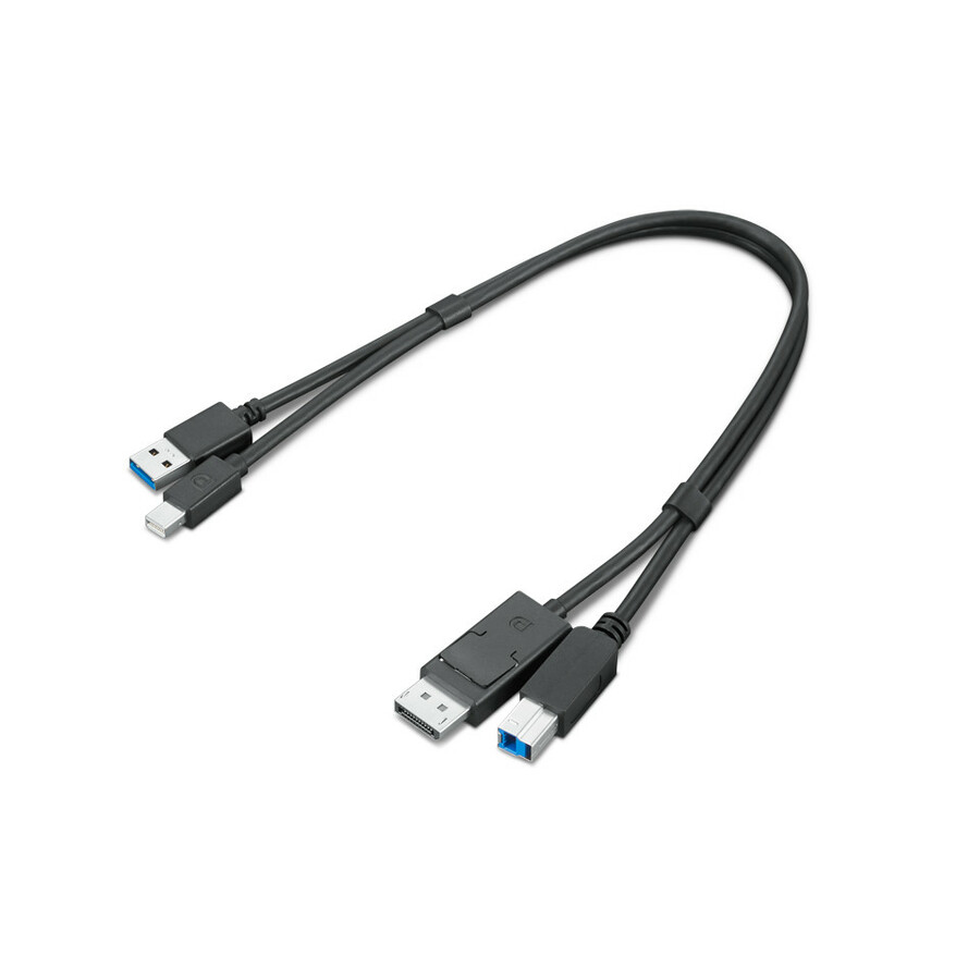 Lenovo ThinkStation mDP + USB-A 3.0 to DP + USB-B 3.0 Dual Head Cable