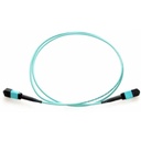 Axiom MPO Female to MPO Female Multimode OM4 50/125 Fiber Optic Cable - 2m