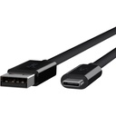 Belkin 3.1 USB-A to USB-C Cable (USB-C Cable)