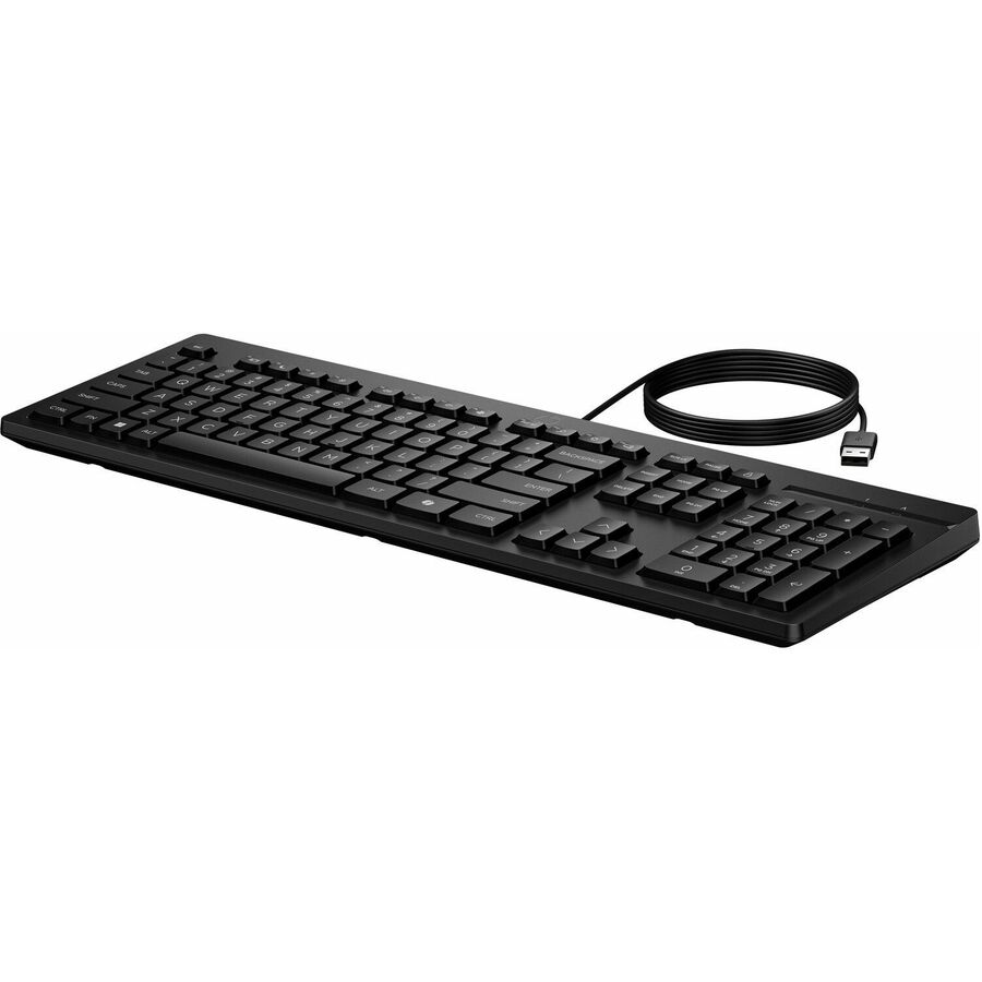 HP 125 Wired Keyboard (AY2Y7AA)