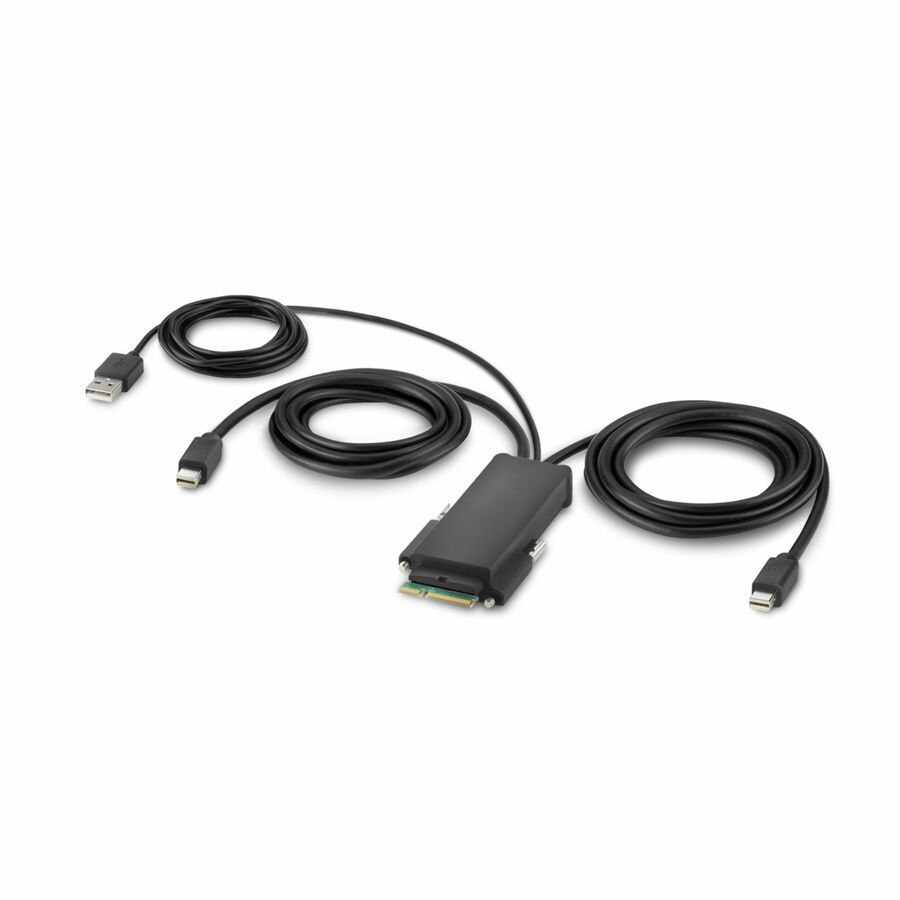 Belkin Modular Mini DP Dual-Head Host Cable 6 ft.