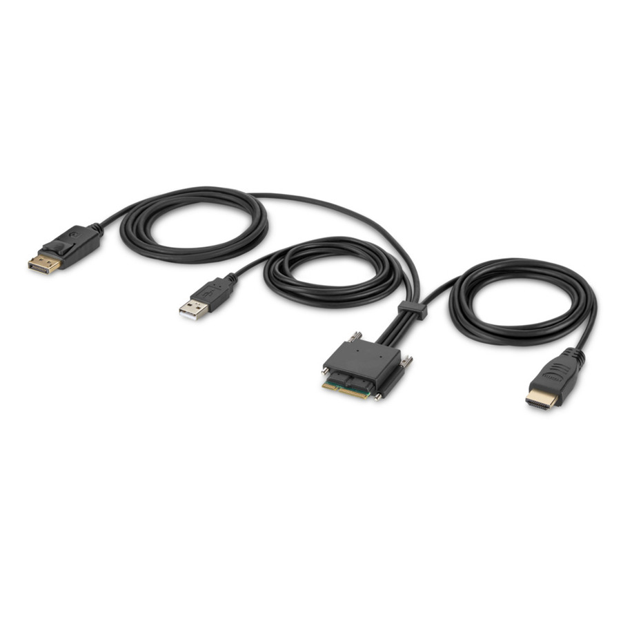 Belkin Modular HDMI and DP Dual-Head Host Cable 6 ft.