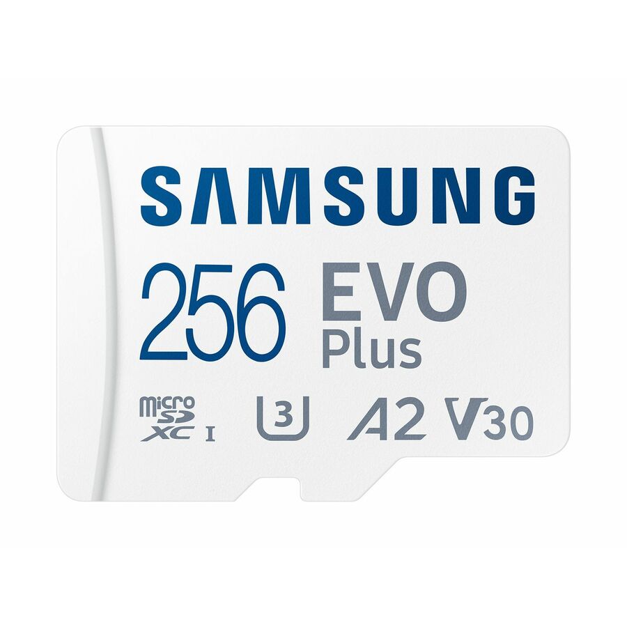 Samsung EVO Plus 256 GB Class 10/UHS-I (U3) V30 microSDXC - 1