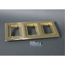 Wiremold Faceplate