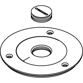 Wiremold 880 Series and Ratchet-Pro 881 Series Brass Cover Plate