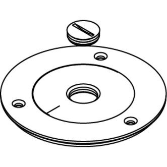 Wiremold 880 Series and Ratchet-Pro 881 Series Brass Cover Plate