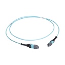 Black Box MTP OM3 Fiber Optic Trunk Cable - Plenum, 24-Strand, Type A