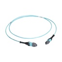 Black Box MTP OM3 Fiber Optic Trunk Cable - Plenum, 12-Strand, Type A