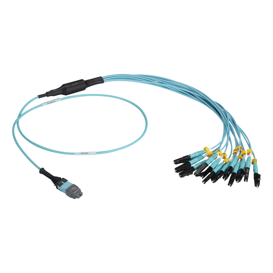 Black Box MTP OM3 Fiber Optic Harness Cable - Plenum, 12-Strand