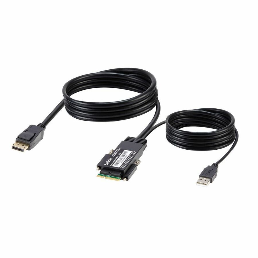 Belkin Dual DP++ (MST) Host Cable to Modular KVM Host Port 6 Feet