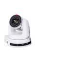 Marshall CV630-IPW 8 Megapixel 4K Network Camera - Color - White