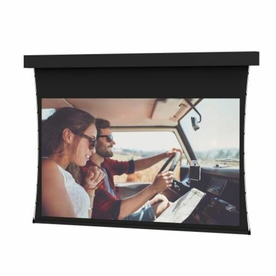 Da-Lite Tensioned Professional Electrol Projection Screen - Case and Trim - HD Progressive ReView 0.9 - 120V - 283in