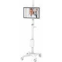Capsa Healthcare - P-Series Cart (T3060) - Roll Stand - Fixed Height - Tall Offset Column - No Mount