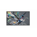 Philips Signage Solutions Q-Line Display