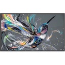 Philips Signage Solutions Q-Line Display