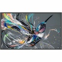 Philips Q-Line 32BDL3511Q Digital Signage Display