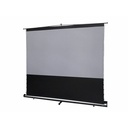 Elite Screens ezCinema Tab-Tension 123" Projection Screen