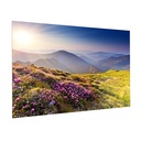 Da-Lite FullVision 193" Projection Screen