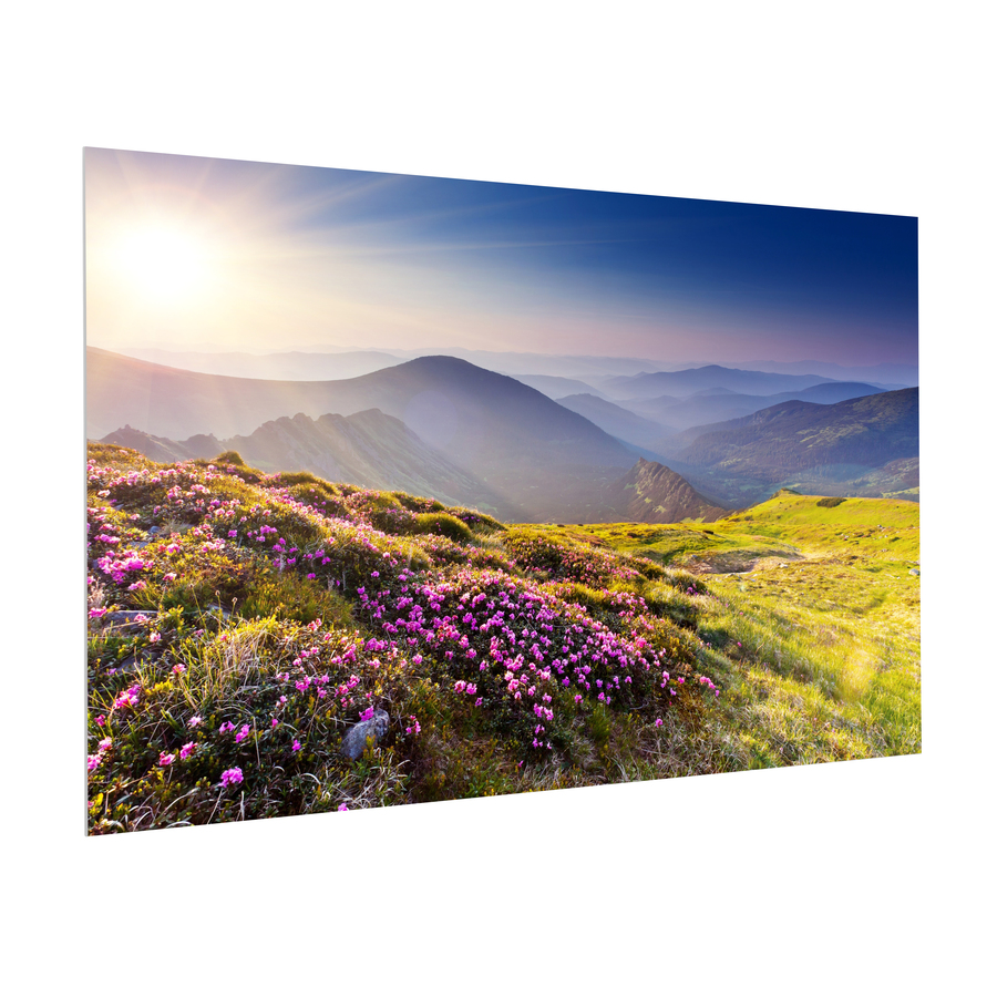 Da-Lite FullVision 164" Projection Screen